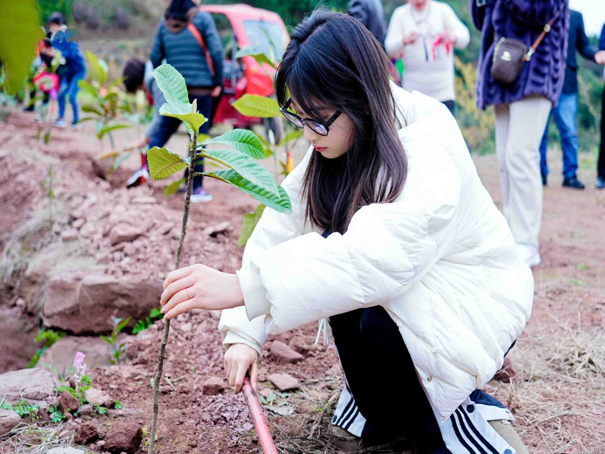 地下空间院植树运动7