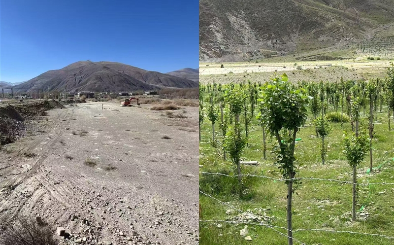 匠心绘就生态新画卷 矿勘集团地调公司助力放弃矿山“美颜重生”