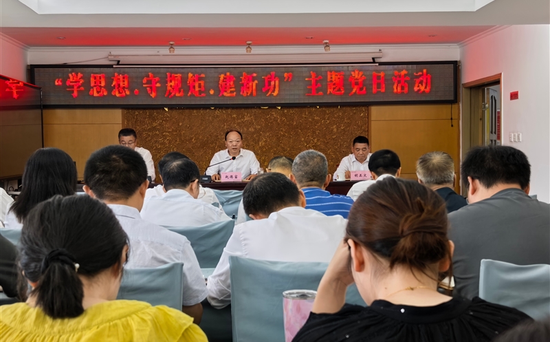测绘公司党委召开“学头脑·守规则·建新功”主题党日运动
