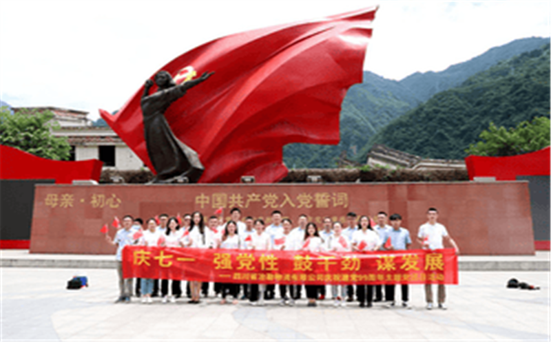 冶勘物流党支部组织开展庆祝建党99周年系列主题党团日运动
