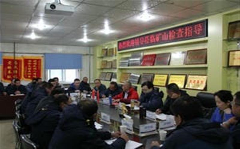 李仕荣一行到松树南沟金矿检查指导事情并考察周边AG真人娱乐情形