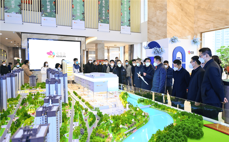 泸州市委书记杨林兴率队到众城·繁华里（爱琴海购物公园）项目调研指导事情