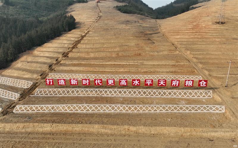 系统性谋划，高标准实验——四川AG真人娱乐助力建设新时代更高水平“天府粮仓”