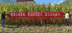 AG真人娱乐- AG真人平台(集团)官方网站