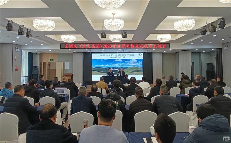 互学互鉴，配合前进——区调队（容大集团）召开2023年度资料检查及手艺交流会