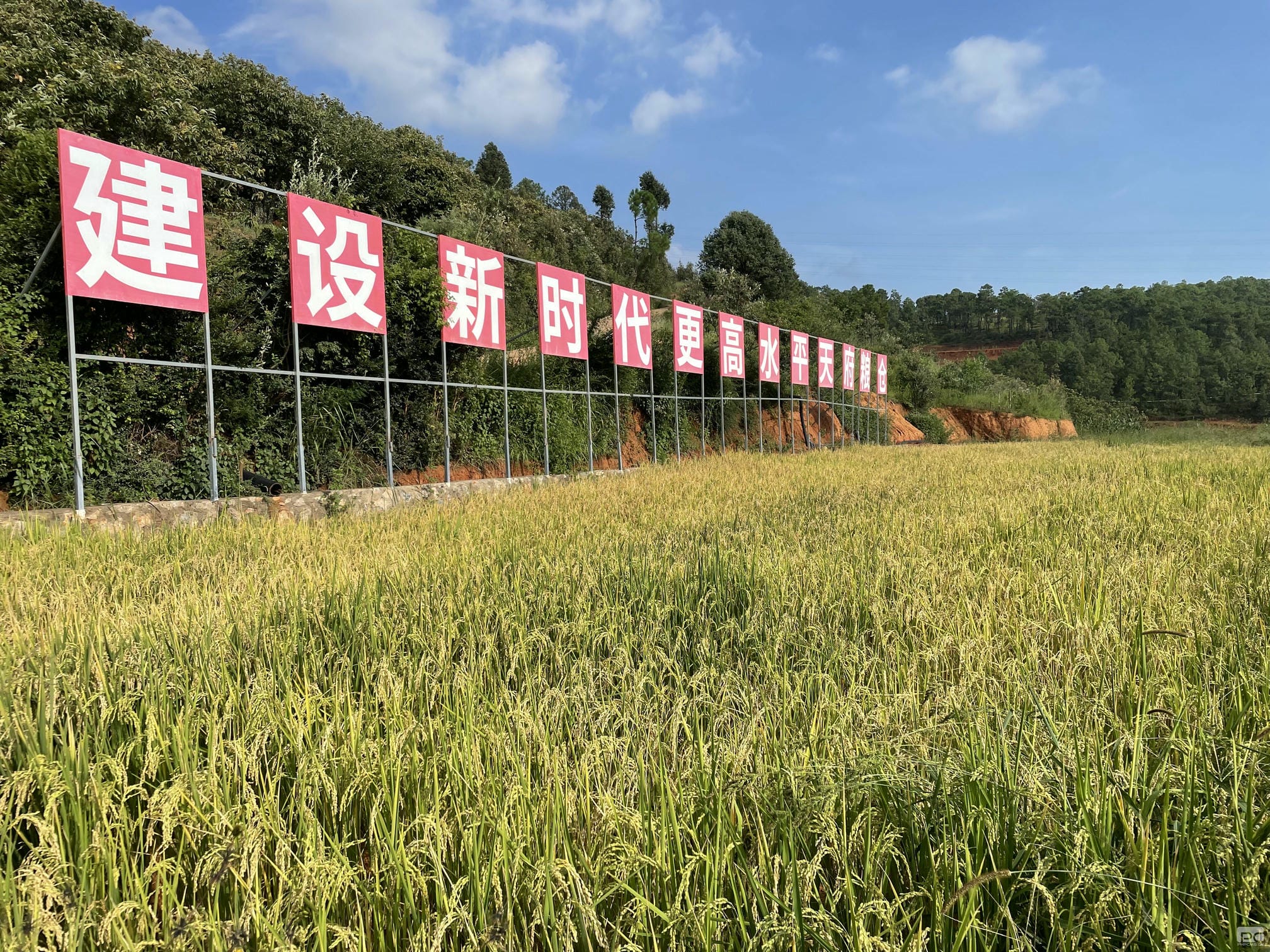 AG真人娱乐- AG真人平台(集团)官方网站